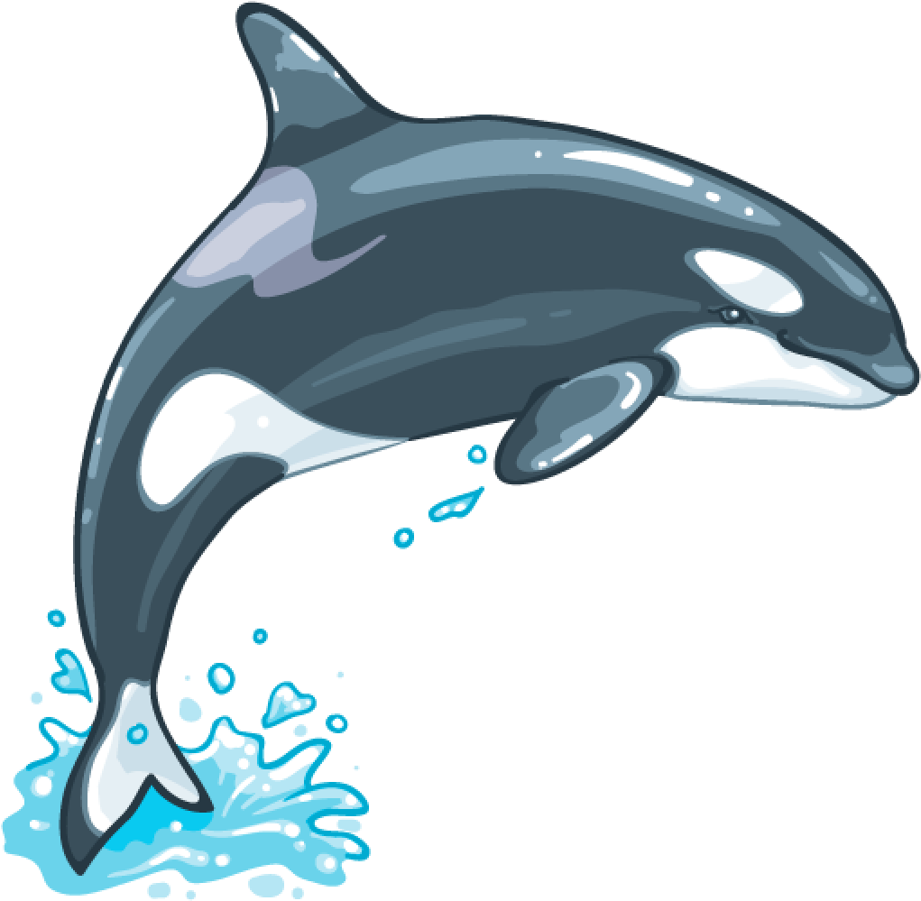 Killer Whale Free PNG Clip Art