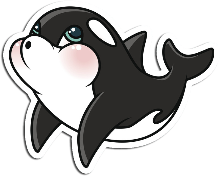 Killer Whale No Background