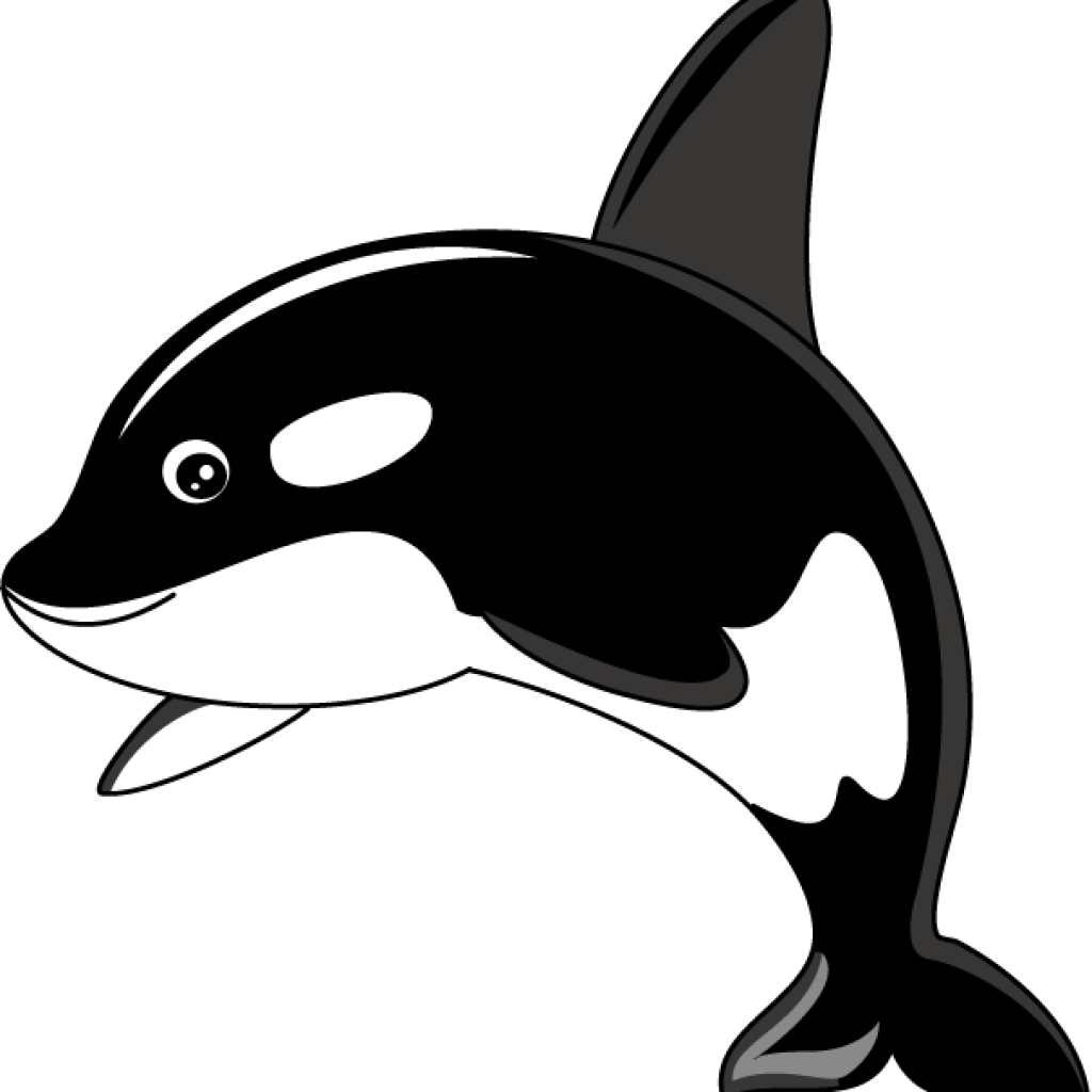 Killer Whale PNG Free File Download