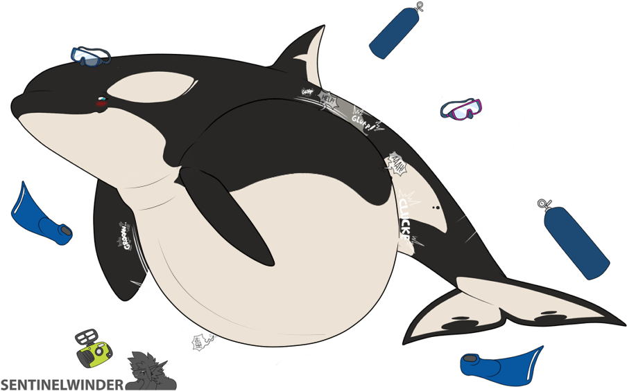 Killer Whale PNG HD Images