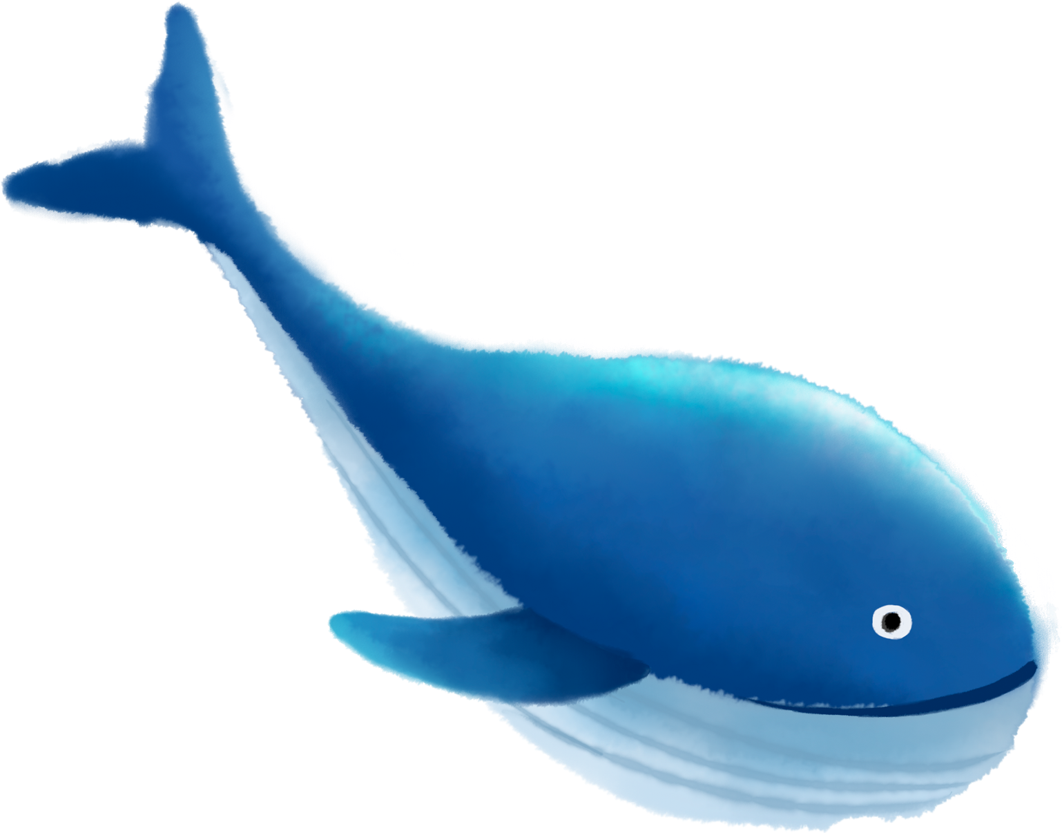 Killer Whale Transparent Free PNG