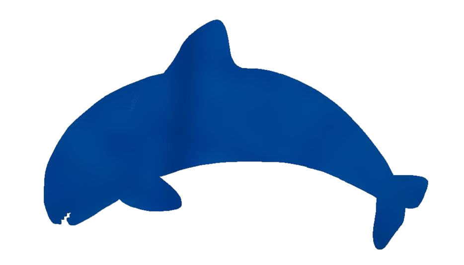 Killer Whale Transparent Images Clip Art