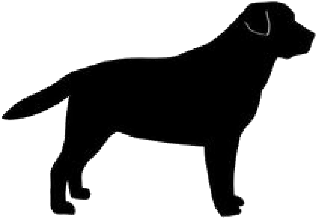 Labrador Retriever Free PNG Clip Art