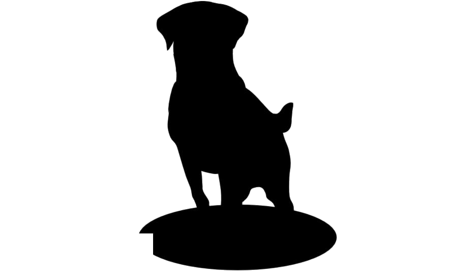 Labrador Retriever PNG Free File Download
