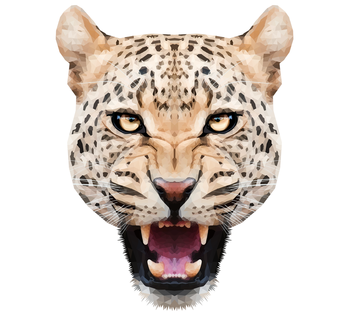 Leopard PNG Photo Image