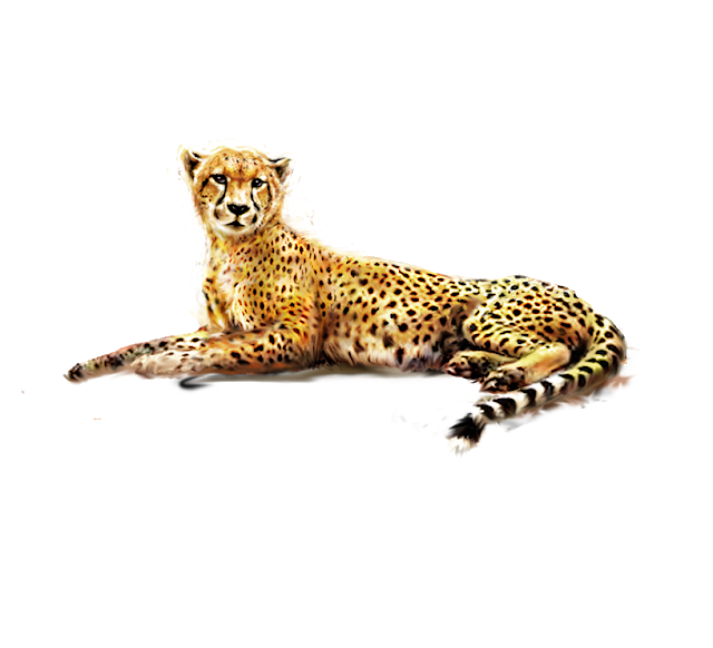 Leopard PNG Pic Clip Art Background