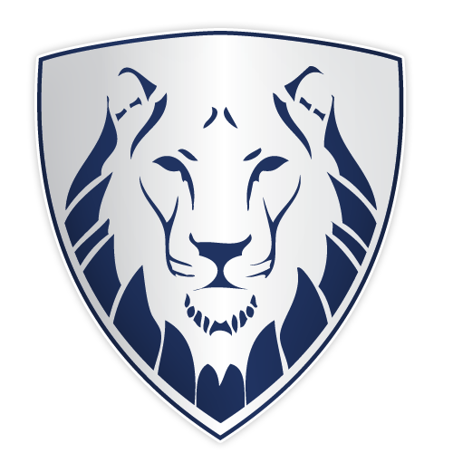 Lion Drawings PNG Background