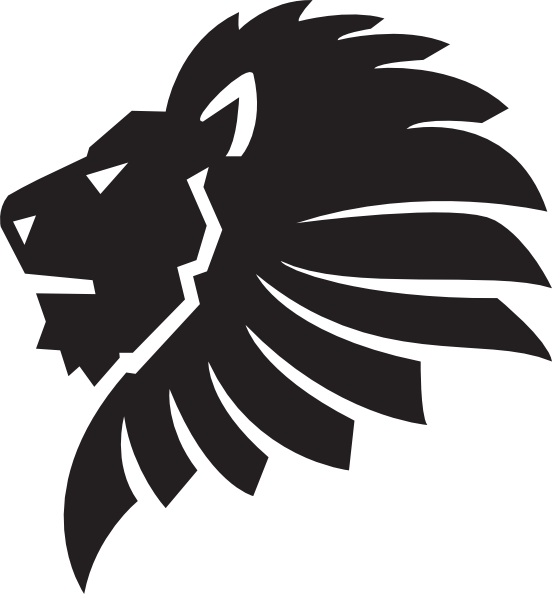Lion Drawings PNG Photos
