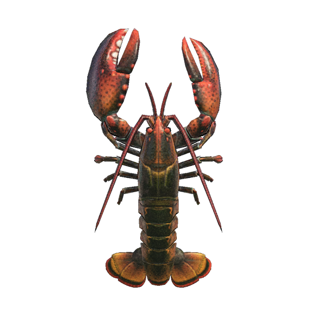 Lobster Background PNG Clip Art Image