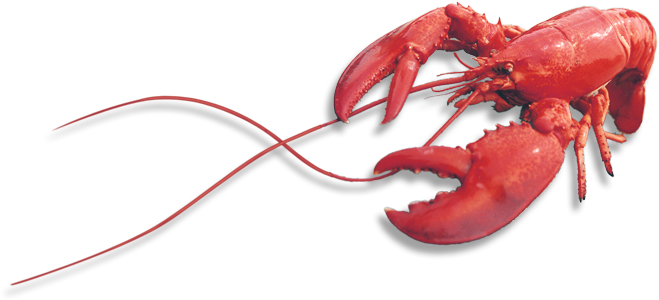 Lobster PNG Images HD