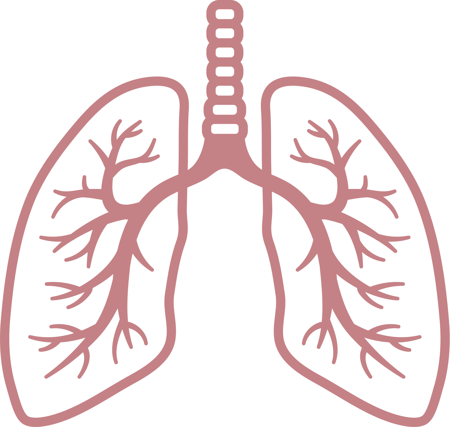 Lung Background PNG Clip Art