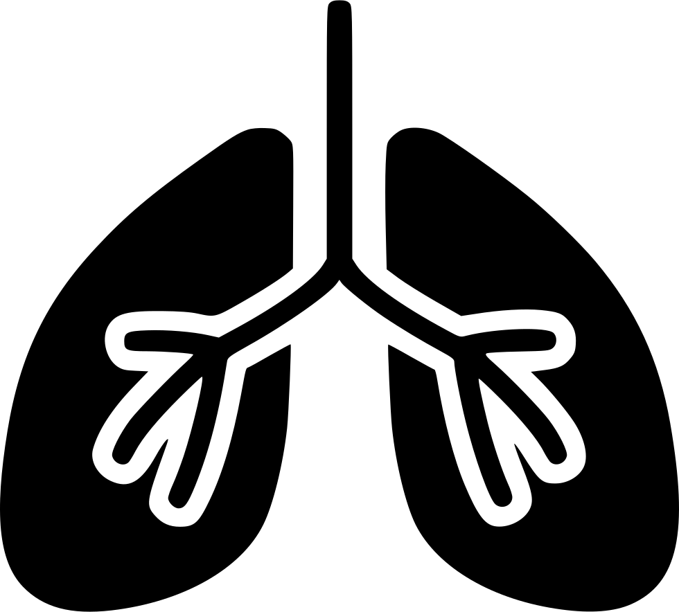 Lung Background PNG Image