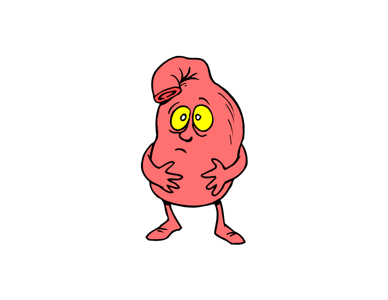 Lung Download Free PNG Clip Art