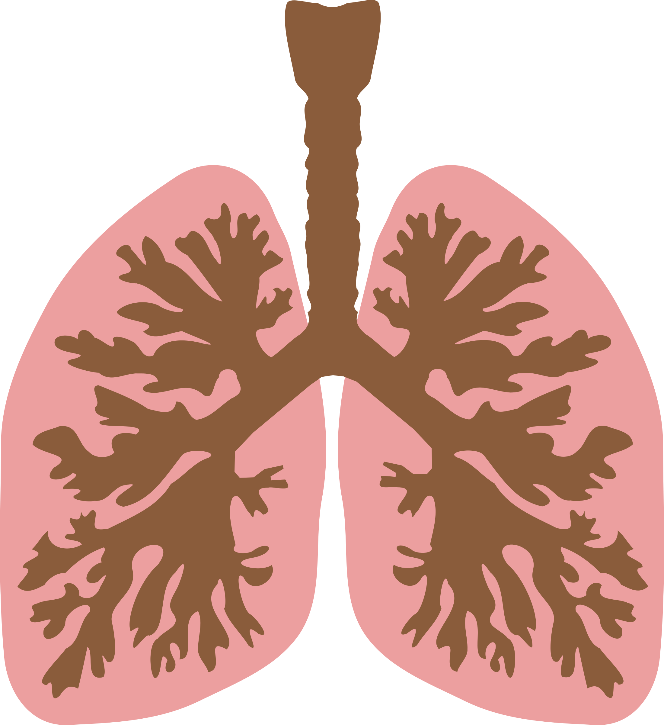 Lung PNG Clip Art HD Quality