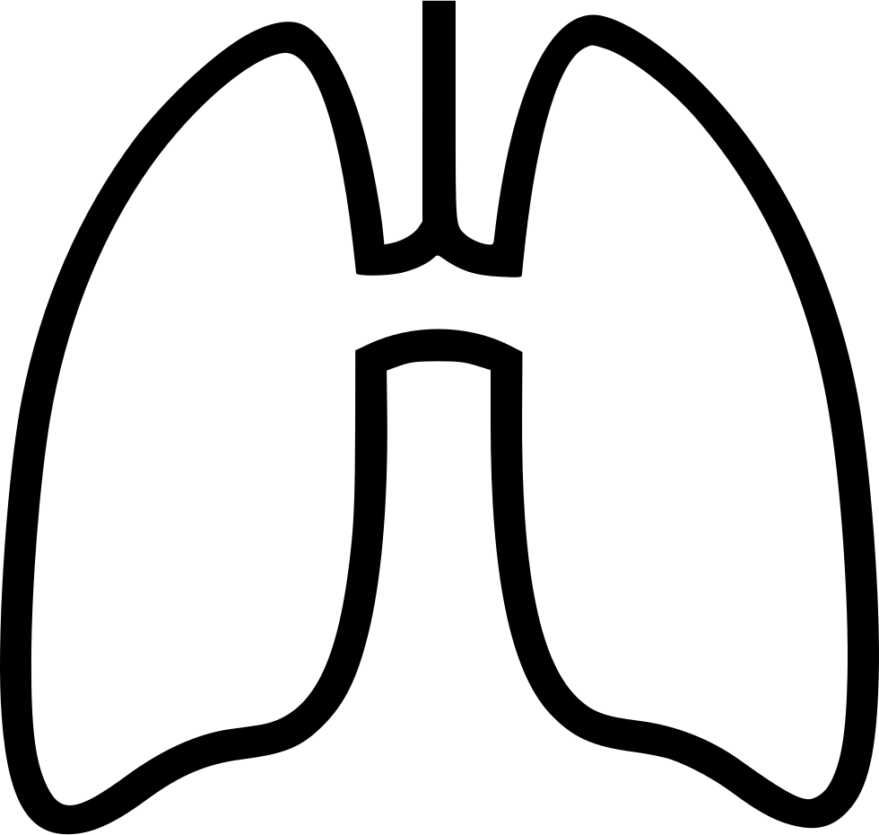 Lung PNG HD Free File Download