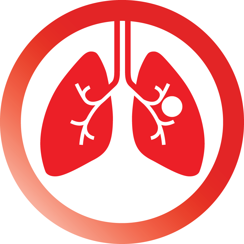 Lung PNG HD Images