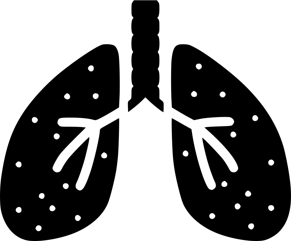 Lung PNG Images HD