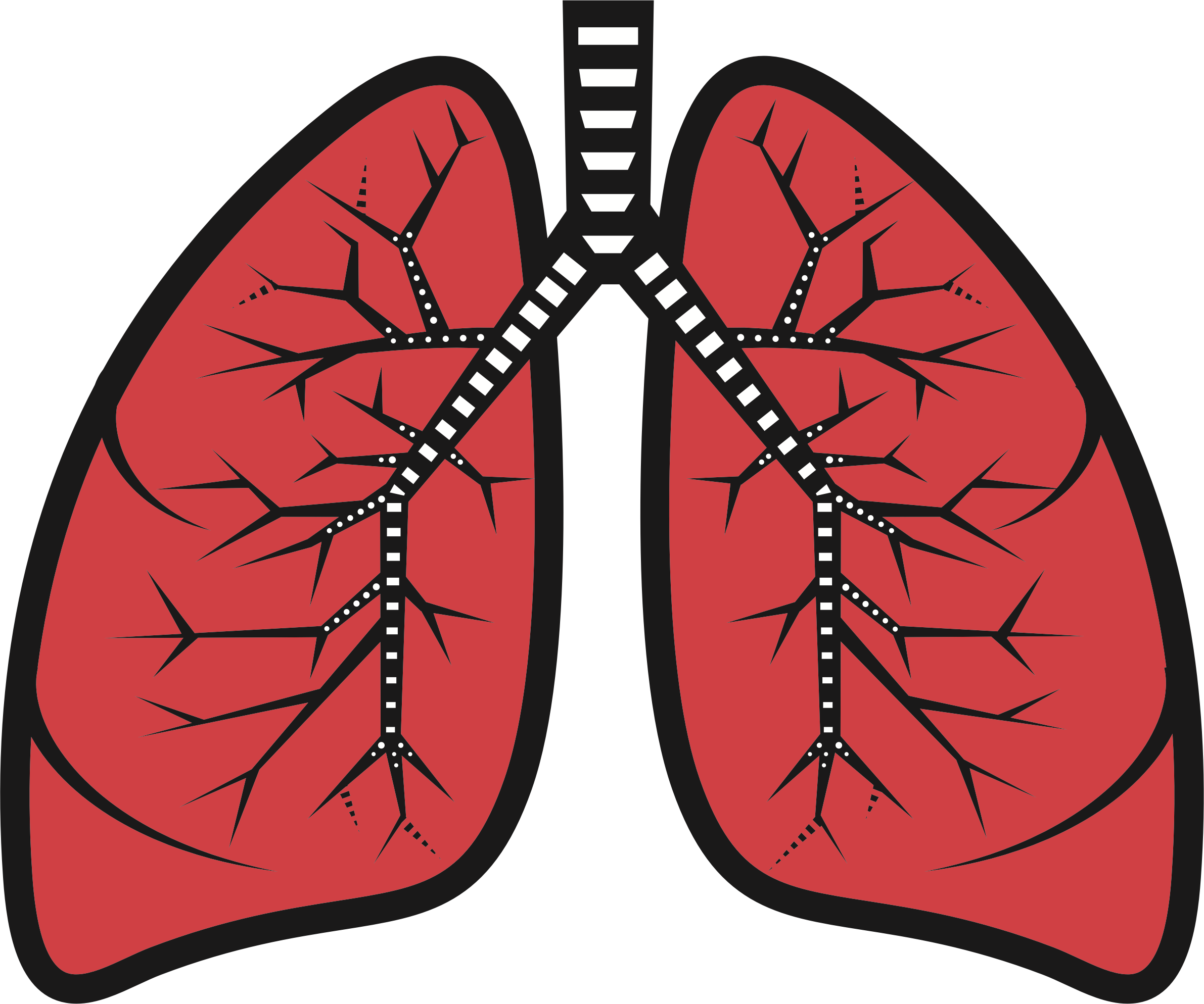 Lung PNG Pic Clip Art Background