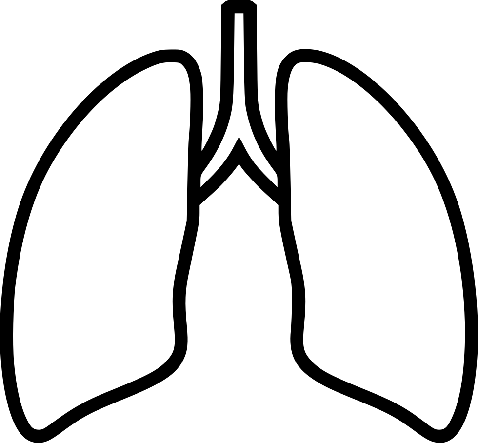 Lung Transparent Background