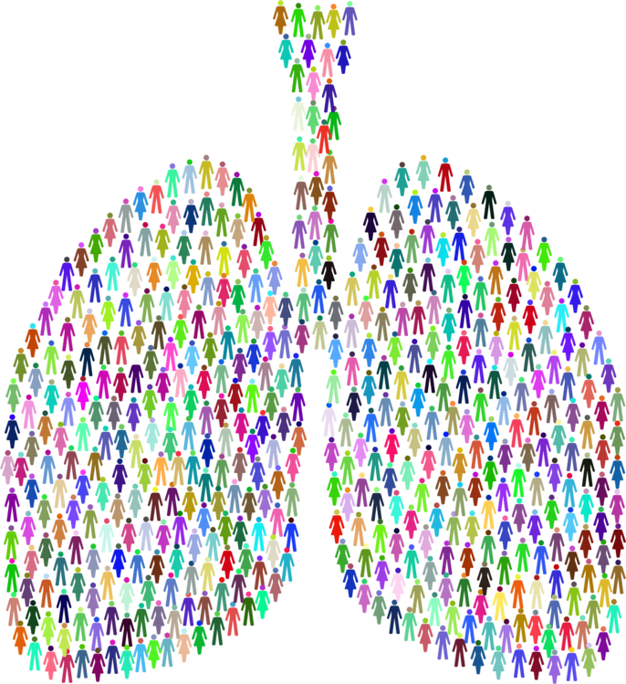 Lung Transparent Clip Art Image