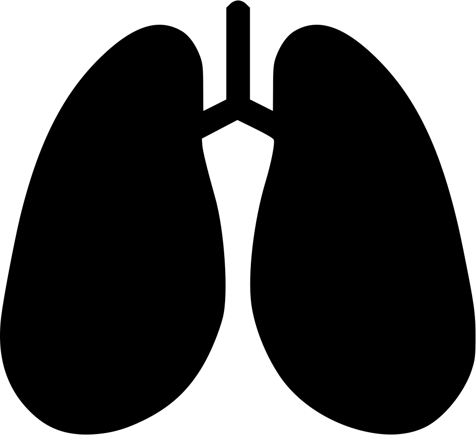 Lung Transparent Clip Art PNG