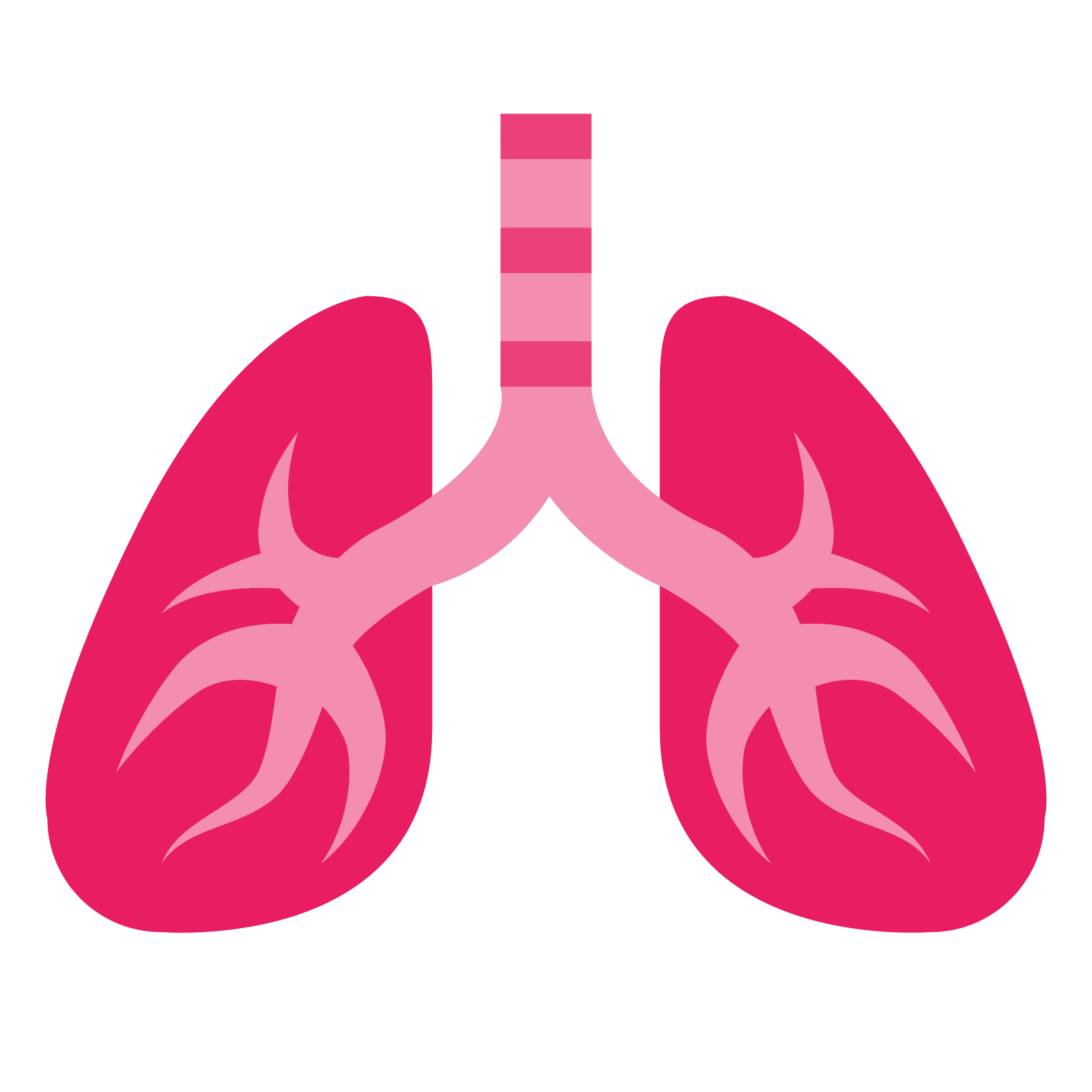 Lung Transparent File Clip Art