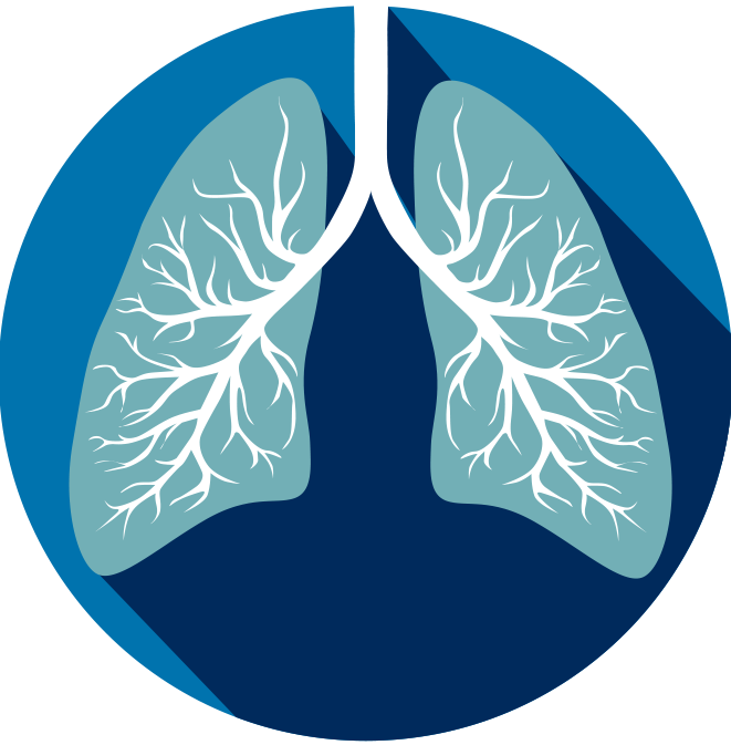 Lung Transparent File