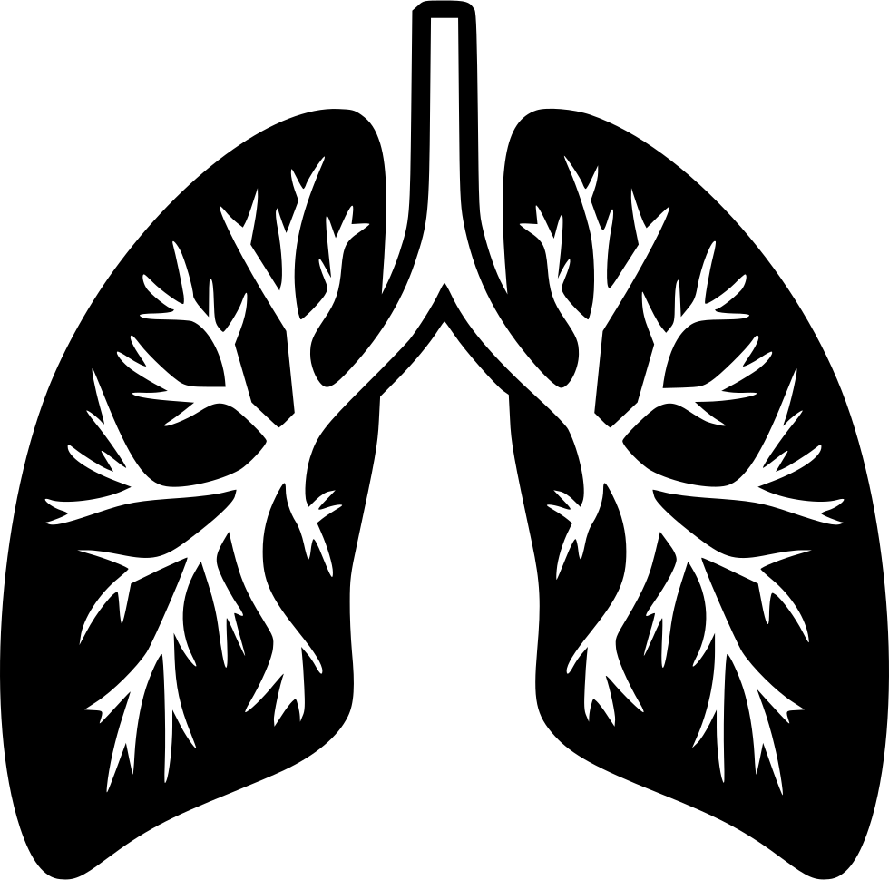 Lung Transparent Image