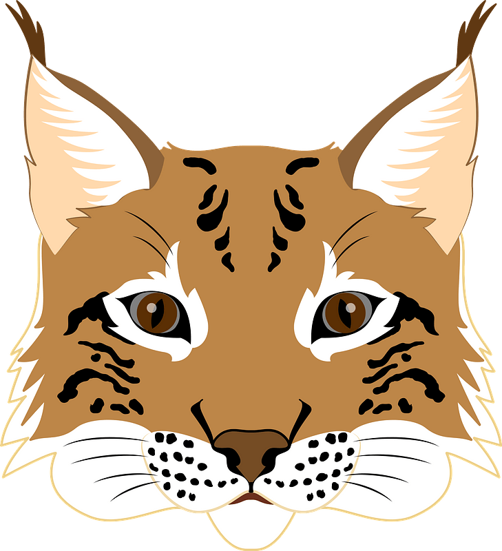 Lynx Clip Art Transparent File