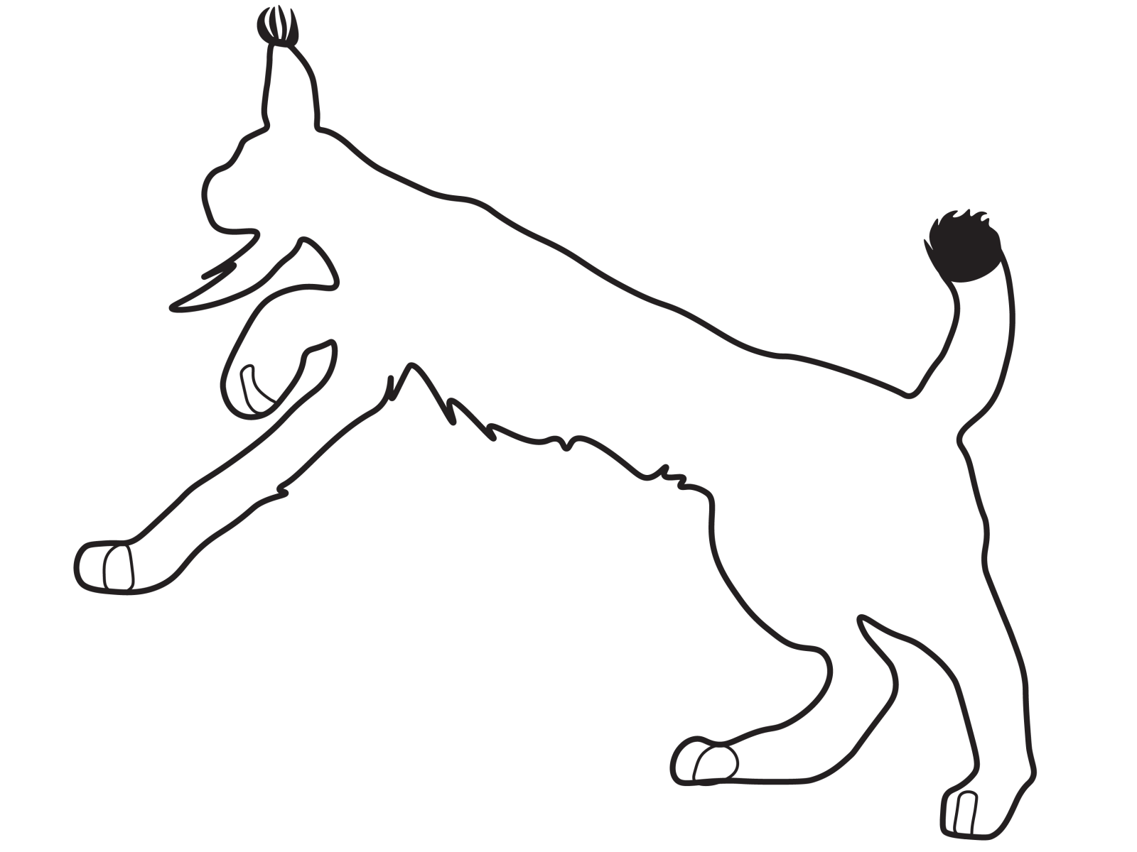 Lynx Transparent Clip Art Background