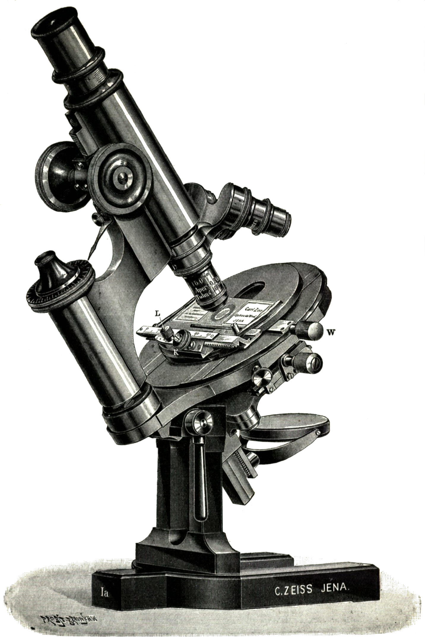 Microscope Free PNG