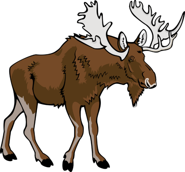 Moose No Background Clip Art