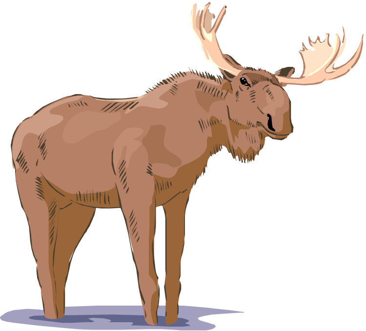 Moose PNG Clipart Background