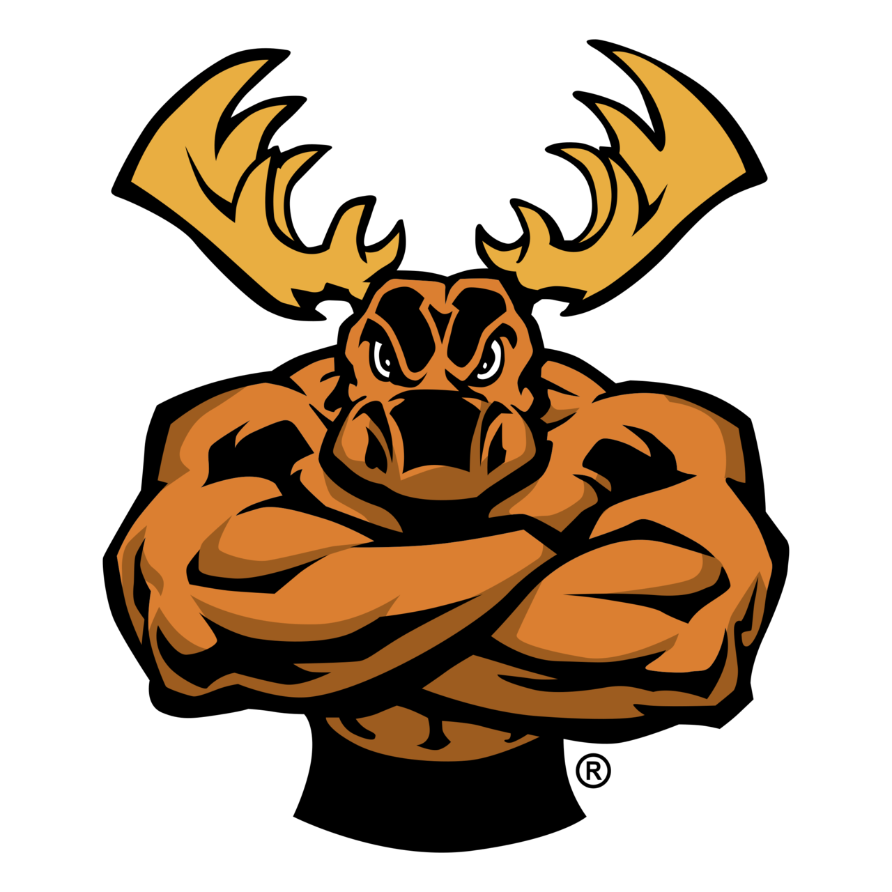 Moose PNG Pic Background
