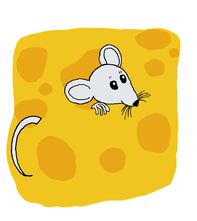 Mouse Animal No Background Clip Art