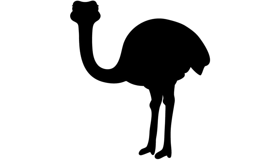 Ostrich Background PNG Image