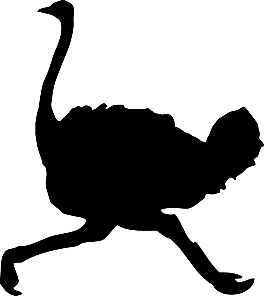 Ostrich Clip Art Transparent PNG