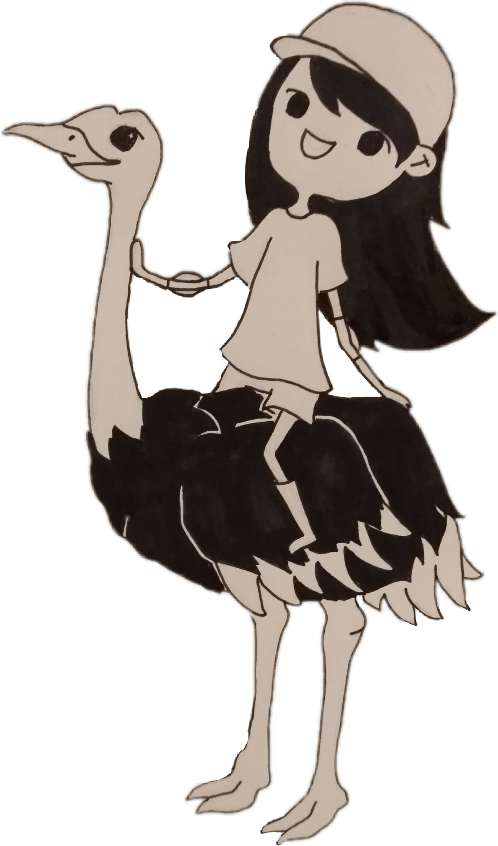 Ostrich Free PNG