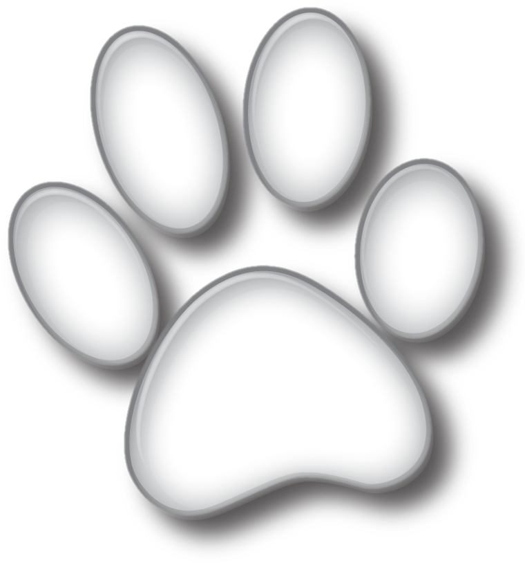 Paw Background PNG Clip Art Image