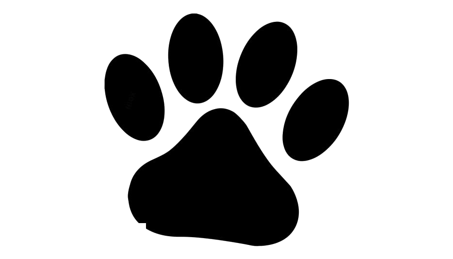 Paw Background PNG Clip Art
