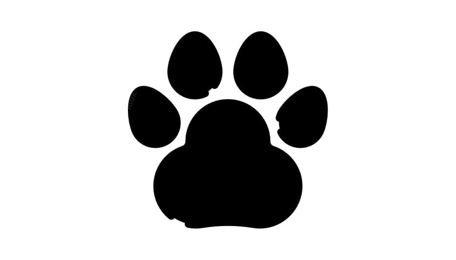 Paw Background PNG Image