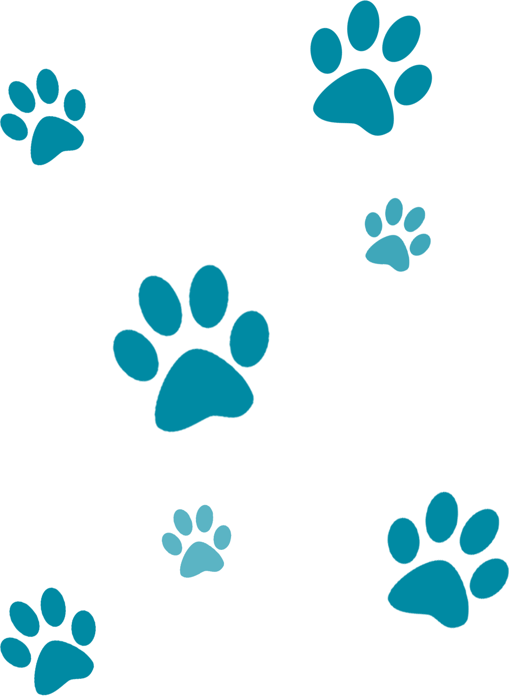 Paw Background PNG