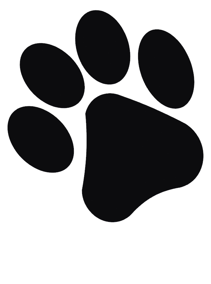 Paw PNG Clipart Background