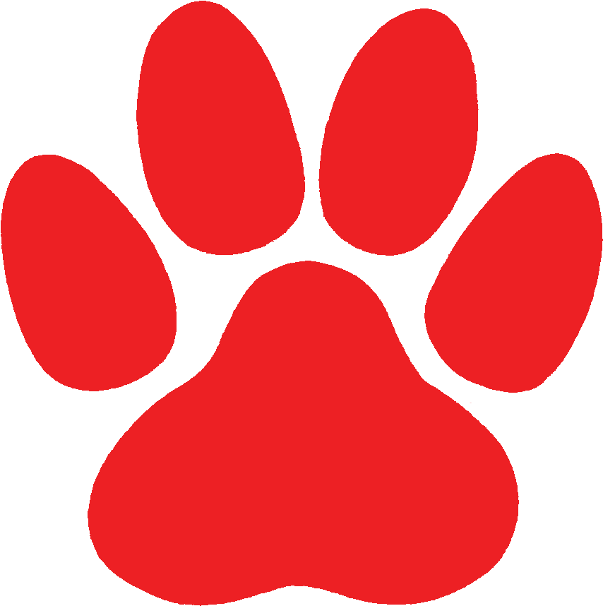 Paw PNG HD Images