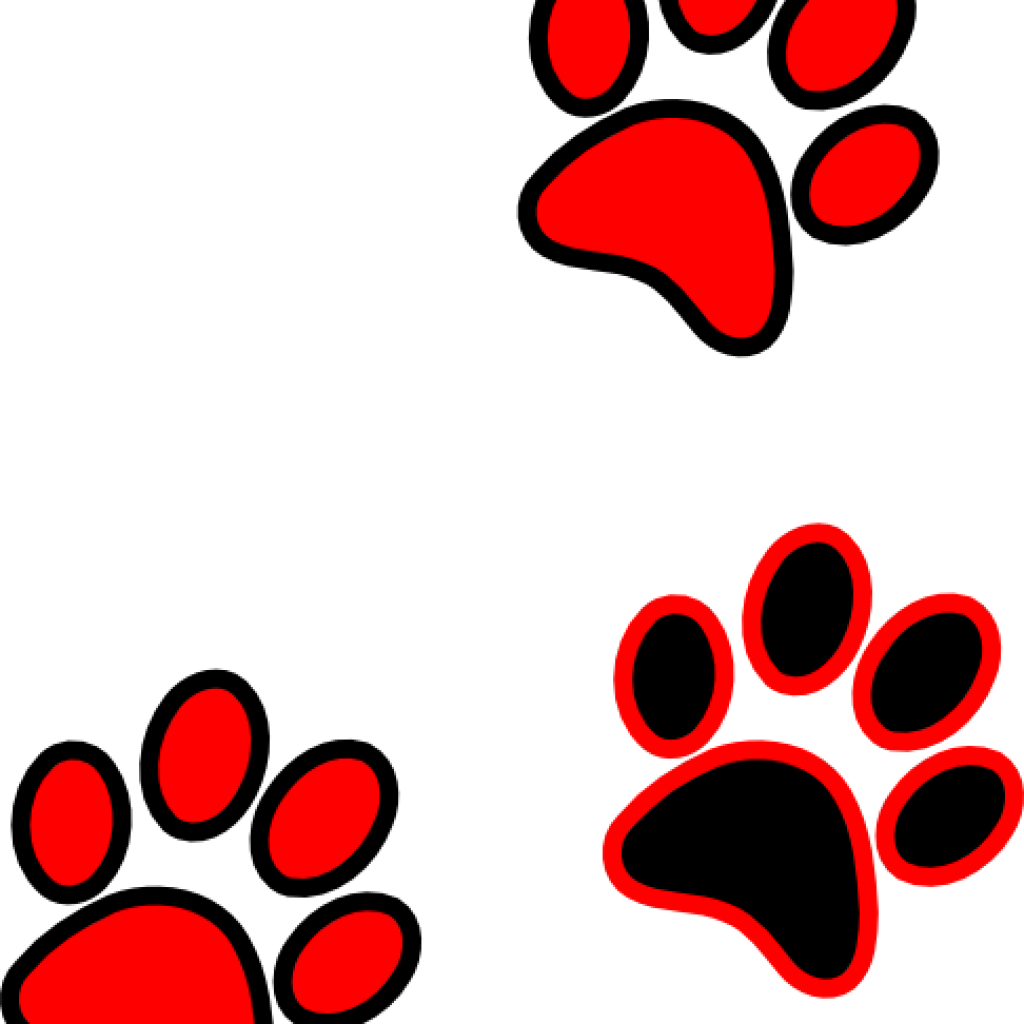 Paw PNG HD Photos