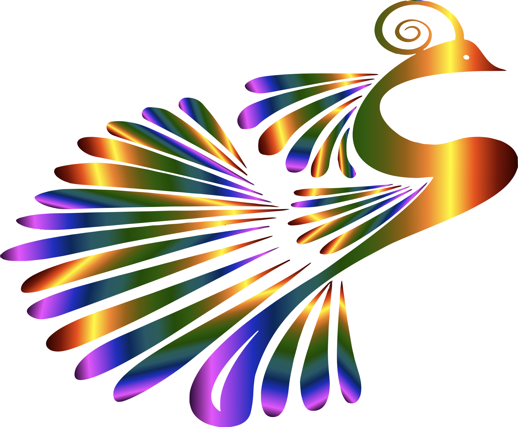 Peacock Background PNG