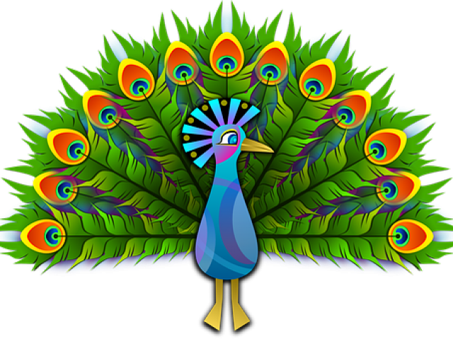 Peacock PNG Background