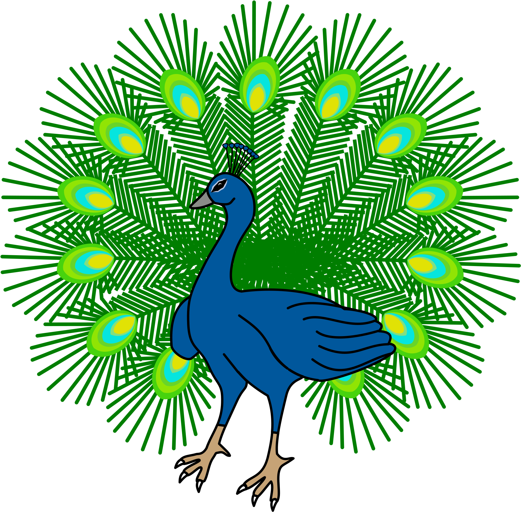 Peacock PNG Clipart Background HD