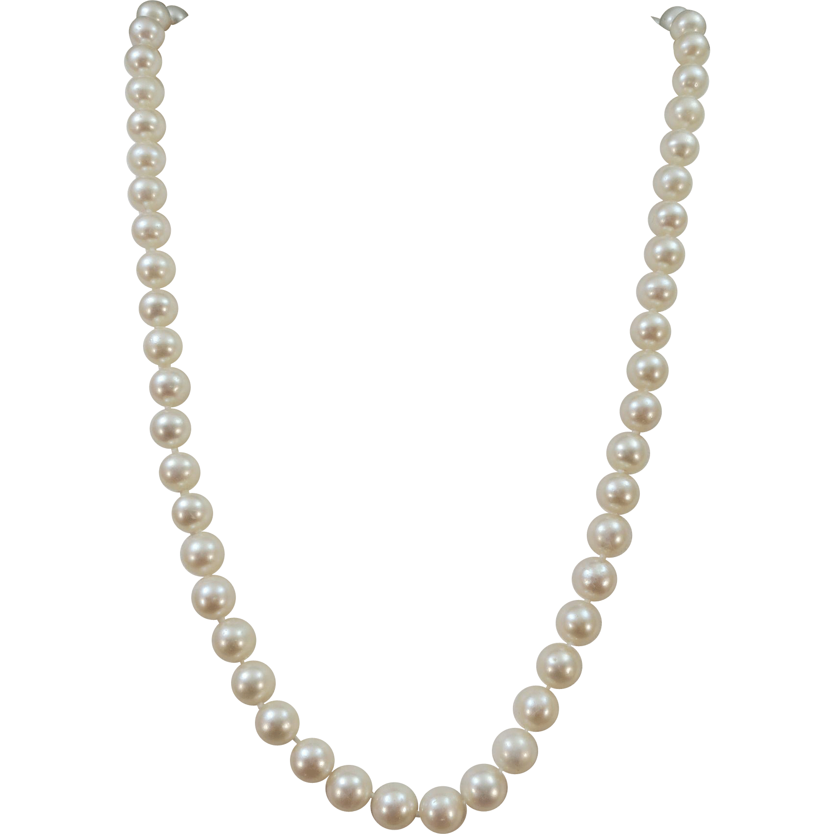 Pearls Transparent Images