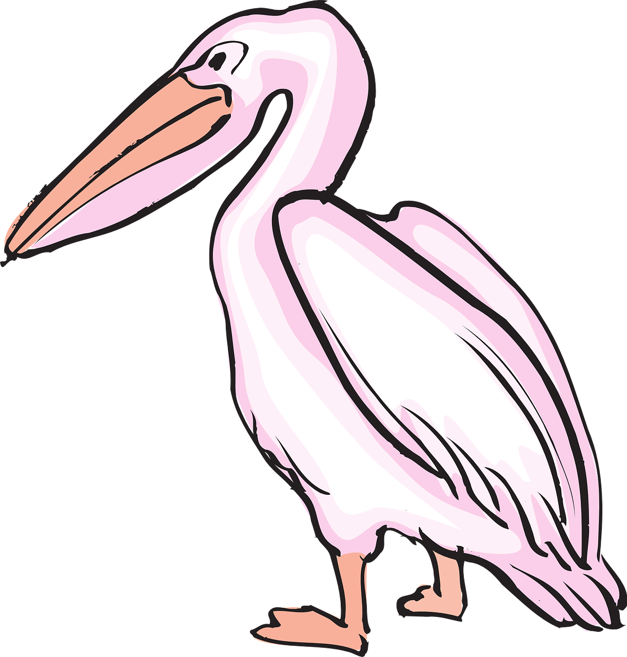 Pelican Clip Art Transparent File